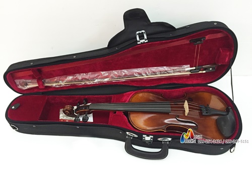 Hofner violin AS-280 ไวโอลิน ฮอฟเนอร์