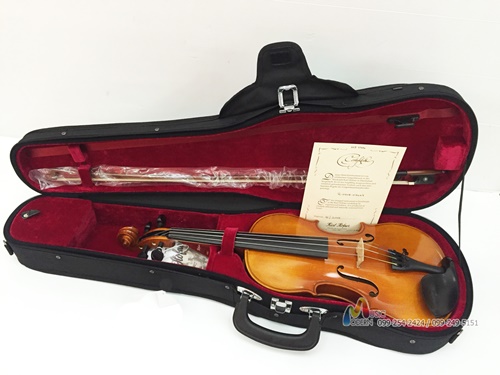 Hofner violin H-5 ไวโอลิน ฮอฟเนอร์ (Made in Germany)