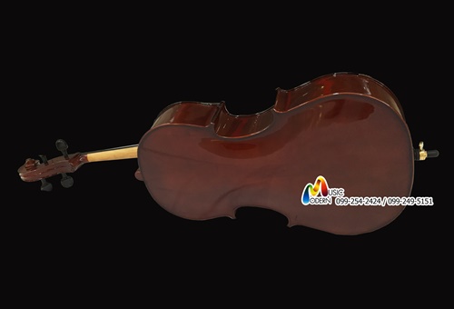 Hofner Cello AS-060 C เชลโล ฮอฟเนอร์ ขนาด 3/4